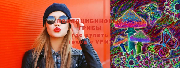 дурь Алексин