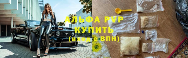 jwh Алзамай
